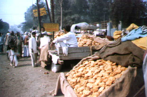 GUR still sells and not far from the sugar mill