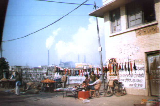 Selling Scarves in the sunshine